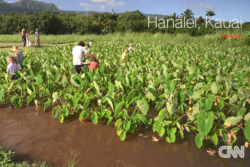 Video: A Nature-first Approach To Education